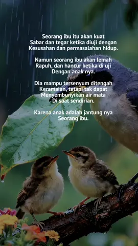 #ibu akan selamanya melindungi anaknya 