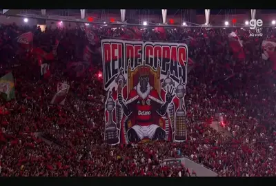 Urubu sai da bandeira com taça na mão...#flamengo #brasileirao #resenha 