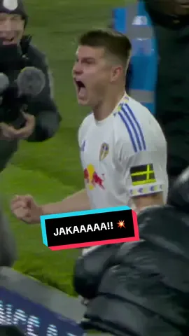 😍 Jaka Bijol grabbing his first ever #PremierLeague goal against Chelsea! #LeedsUnited #Chelsea #Slovenia #PL 
