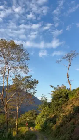 safa bas van ho😃😂#creatorsearchinsights #funnyvideos #myviralvideo #foryou #foryoupage 