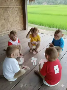 The monkeys are playing cards and cheating each other. #monyetmainkartu #fyp