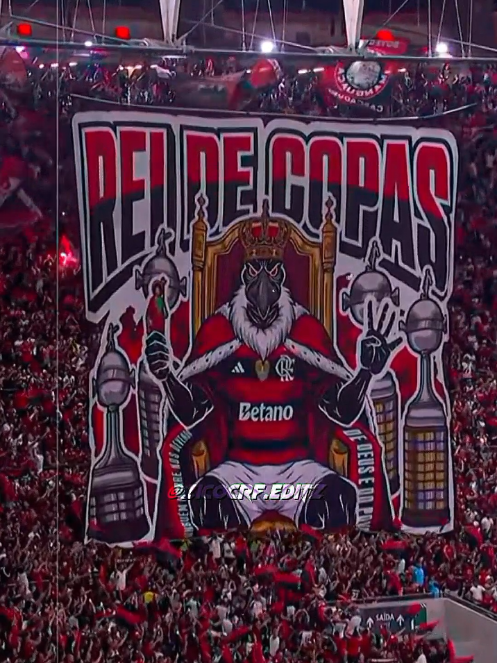 QUE FESTA LINDA DA TORCIDA DO MENGÃO!!☠️🔴⚫️🔥 #flamengo #ceara #brasileirao #torcida 