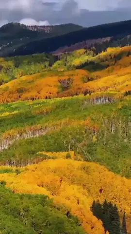 #musicacristiana  #alabanzas_cristianas  #alabanza  #cristianos  #graciasdios 