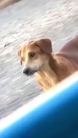 #LIVEIncentiveProgram #LIVEFEST2025 #MakeLIVECount #PaidPartnership 