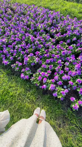 สวยมากกกกกก