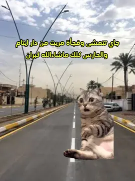 تعيش وتاكل غيرها😹🙏 #شتبوست #شتبوستر_عظيم 