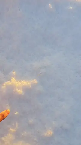 udah pada turun salju belum?😁😄    #korean #pmikorea🇮🇩♡🇰🇷 #pejuangwon🇰🇷🇲🇨 #tkikorea🇰🇷🇮🇩 #koreanvibes 