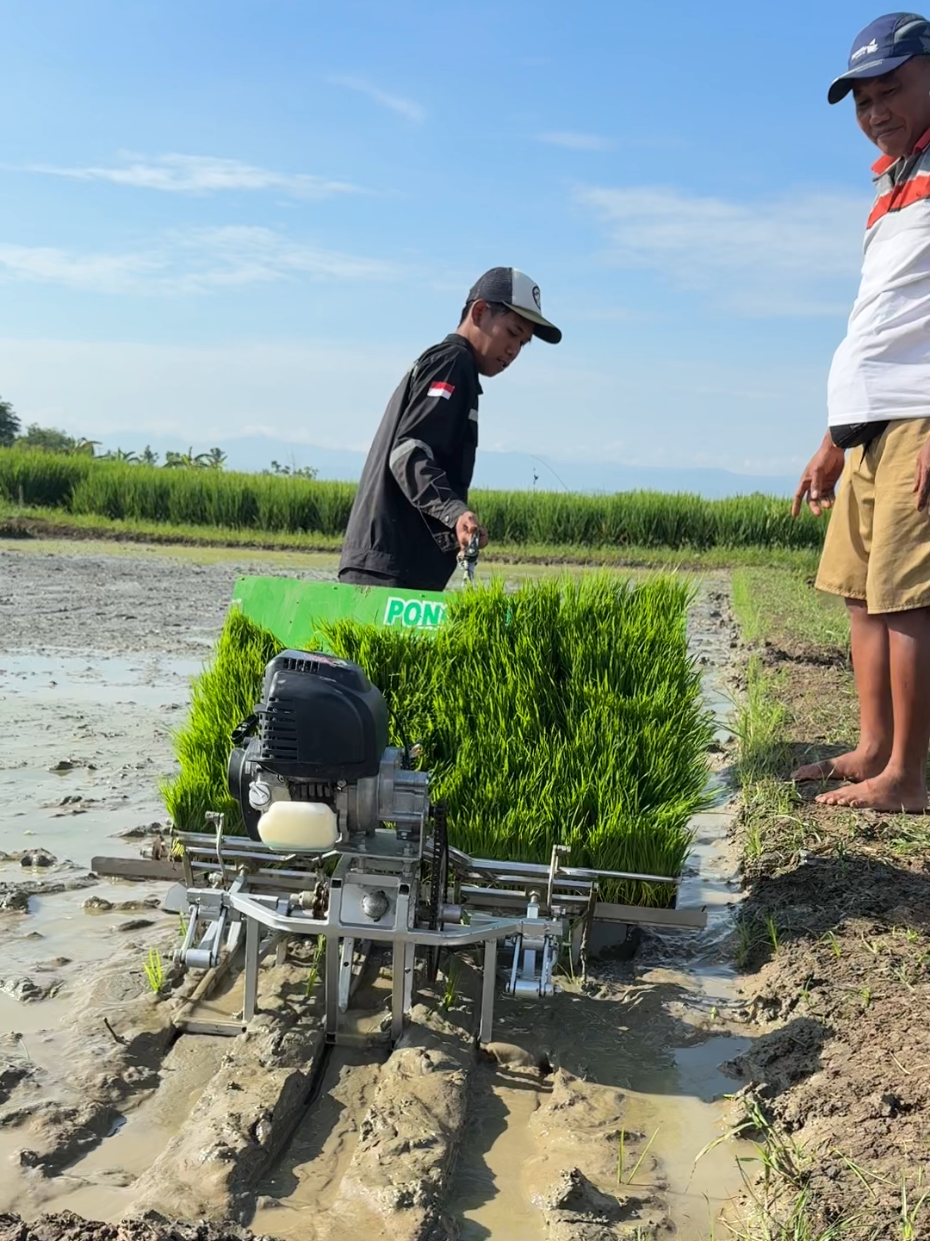 Alat Tanam Padi Ponco Tani#petanimuda #petani #petanimilenial #petaniindonesia🇮🇩🇮🇩🇮🇩🌿🌿 #fyp 