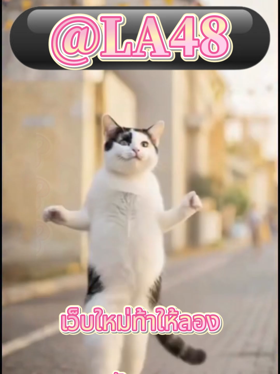 เว็ปตรงมาแรงในตอนนี้ #สลอตเวบเกมเวบใหม่ยูสใหม่แตกหนัก⭐️ 🎯สล็อตเว็บดีๆที่แนะนำยูสใหม่ เว็บใหม่มาแรงยูสใหม่2025ล่าสุด เกมใหม่พีจีอัพเดททุกวันเว็ปไซต์ที่ได้รับความนิยมมากที่สุด เล่นได้ยังไงก็ให้ถอน ระบบดีเว็บดีต้องที่นี้ เว็บใหม่ยอดฮิต สมัครสล็อต เว็บสล็อตแตกดี PG SLOT เว็บแท้100% สล็อตพีจี pg เว็บระบบดี สล้อตเว็บเเท้อันดับ1 เว็บใหม่มาเเรงยูสใหม่เเตกดีตอนนี้ล่าสุด เว็บใหม่ยูสใหม่ เว็บใหญ่ที่สุดในไทย สล็อตติดอันดับ1 เว็บใหม่มาแรง2025ล่าสุด สล็อตพีจีเเตกดี เกมใหม่พีจีเเตกดี เว็บสล็อตออนไลน์มาเเรงติดอันดับ1 เว็บดังดัง เว็บใหม่มาเเรงยูสใหม่เเตกยับ เกมใหม่พีจีอัพเดททุกวันเว็ปไซต์ที่ได้รับความนิยมมากที่สุด เล่นได้ยังไงก็ให้ถอน ระบบดีเว็บดีต้องที่นี้ เว็บใหม่ยอดฮิต สมัครสล็อต เว็บสล็อตแตกดี PG SLOT เว็บแท้100% สล็อตพีจี pg เว็บระบบดี สล็อตยูสใหม่แตกบ่อย เกมใหม่แตกงายแตกดีมากที่สุด pgยอดนิยม เว็บแท้ เว็บใหญ่ที่สุดในไทย เว็บนอกของแท้ล่าสุด เว็บที่แตกงายๆ สล็อต2025 สล็อตพีจีใหม่ ยูสใหม่โอกาส90%เว็บถอนได้จริง slot online เวลาสล๊อตPG หาเว็บสล็อต เว็บจริงใจเกมเเตกดีช่วงไหน เว็บเเต๊กง่าย ได้จริง เว็บดีๆที่เเนะนำ แจกเว็บดีๆ รวมเกมมากมายไว้ที่นี้ที่เดียว #สลอด🚀 #ฟดดดシ🚀 #กระแสมาแรง🚀 #เวบใหมมาแรงตอนน✔️🚀