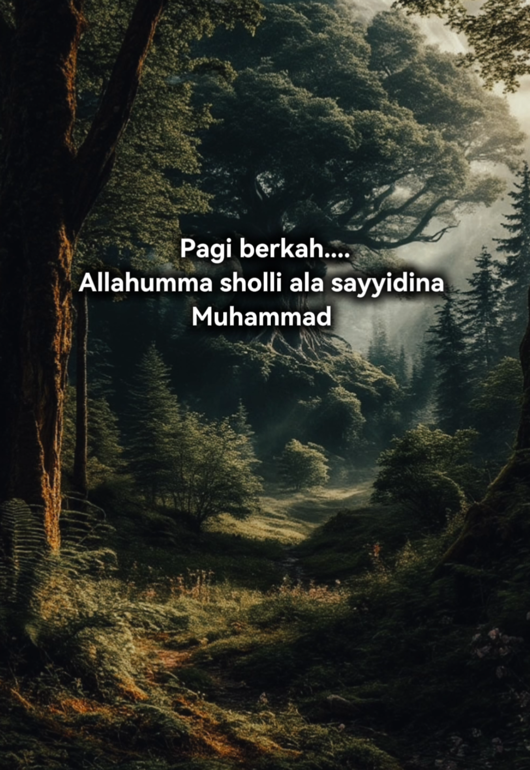 Pagi berkah  #foryoupage #fyp #foryou #quotes #motivation 