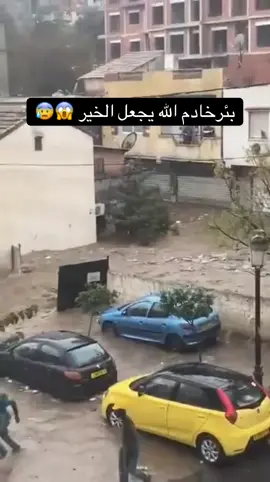 #بئرخادم #بئرخادم_العاصمة #الشعب_الصيني_ماله_حل😂😂 #dz #dzpower 