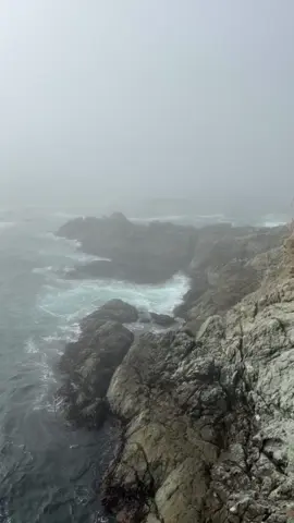 ill love you forever #titlefight #foru #music #waves #bigsur 