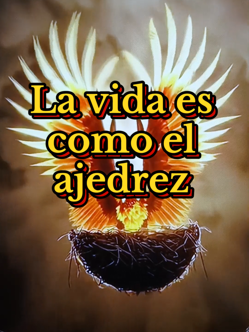 frases motivación la vida es como el ajedrez  cada jugada define tu futuro #frases #motivacion #la #vida #parati 