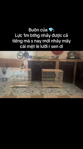 Lực bluetooth dài ngắn tuỳ thời tiết 🤣🤣