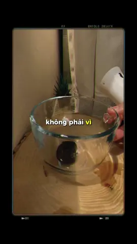 Khi quy định mập mờ, mỗi người hiểu một kiểu, mạnh ai nấy làm, còn đúng sai thì tùy cảm tính. #khoanhkhachieura 