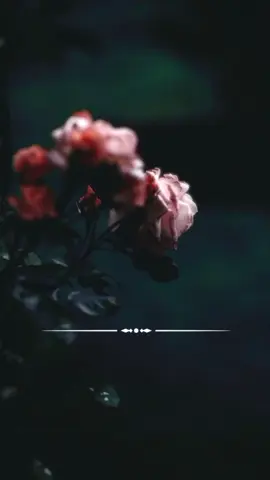 هي الدنيا ورب البيت تفنى🥀... #تصميمي #كسبلور_explor #إعادة_النشر🔄 #لااله_الا_انت_سبحانك_اني_كنت_من_ظالمين #### 