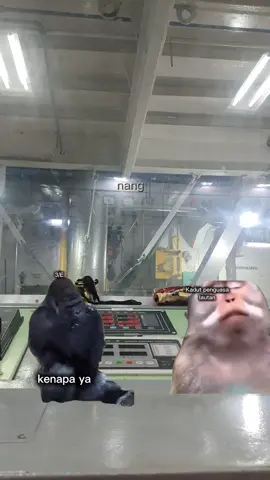 Ada aja gebrakannya 🤣😆😆 #sailormoon #sailing #pelaut #pelautindonesia #engineering 