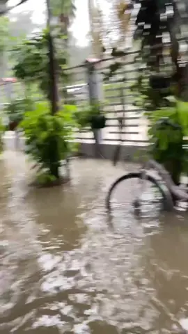 Mưa to lũ lại về rồi, một huyện của Bình Thuận cũ sáng nay 4/12 #lulut #thoitiet #muato #xuhuong #tiktoklive 