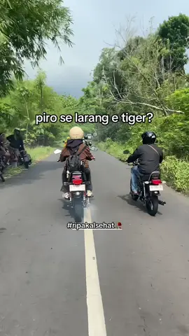 aku ise bisa urip pol🥀 #ripakalsehat @adhitamaescampurreborn2 #promomakanharian #xybca 