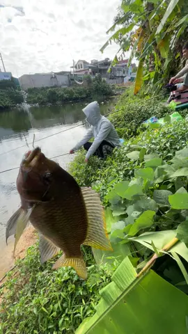 cười lên nào😅#cauca 