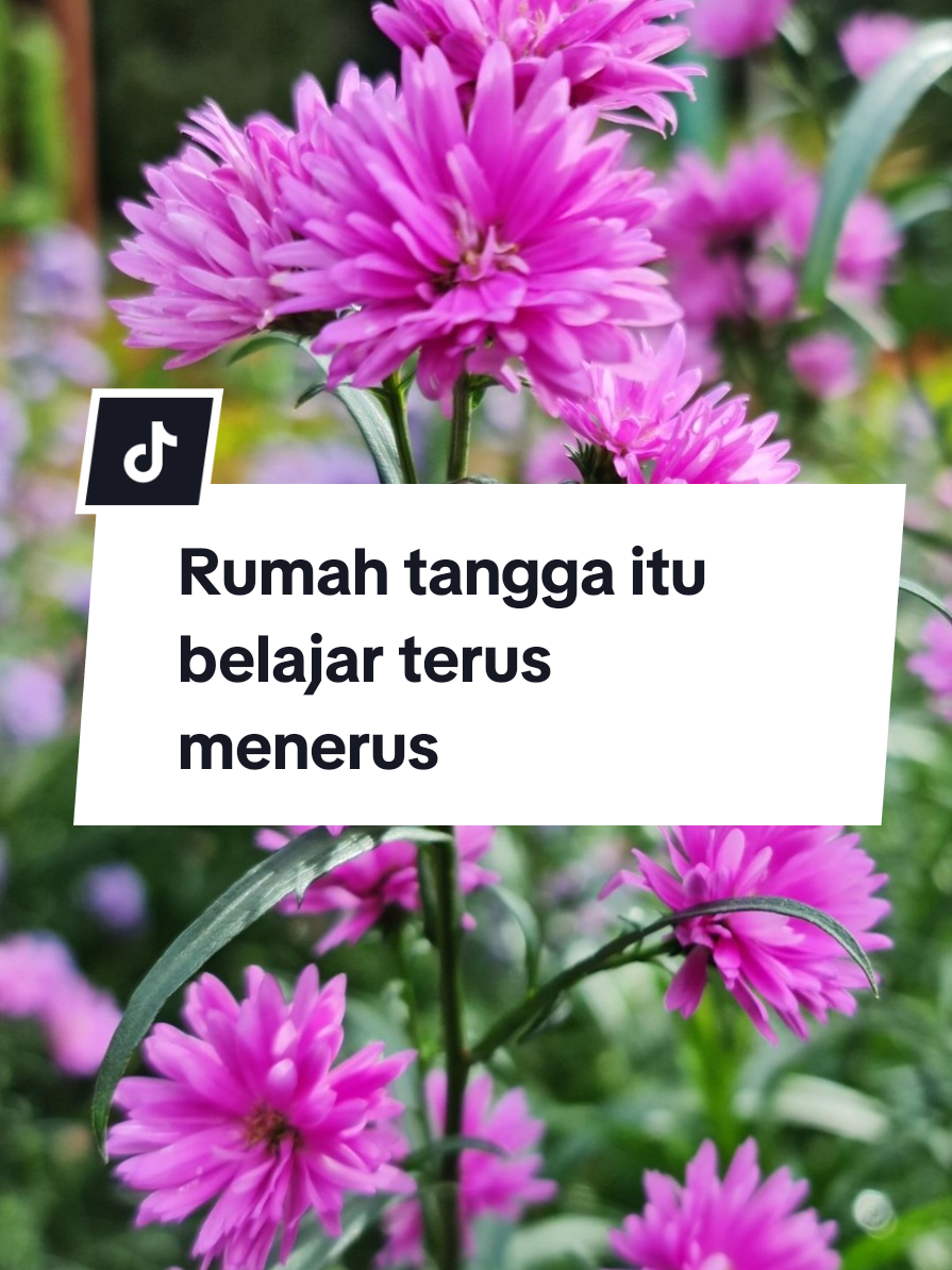 Rumah tangga itu belajar terus menerus #ustadzahhalimahalaydrus #pernikahan #suamiistribahagia #muhasabahdiri #kajianislami 