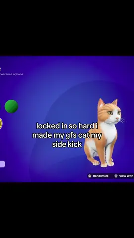 the petting animation on the cats are so cutee #fortnite #fyp #cats #cat #fortniteclips 