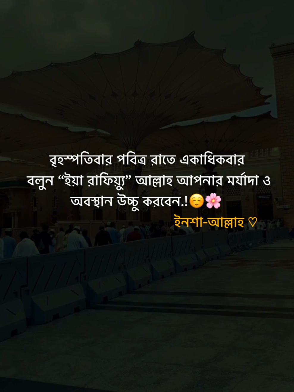 বৃহস্পতিবার পবিত্র রাতে একাধিকবার বলুন “ইয়া রাফিয়্যু” আল্লাহ আপনার মর্যাদা ও অবস্থান উচ্চু করবেন.! 😊🌸 ইনশা-আল্লাহ ♡      #flypシ #foryou #foryoupage 
