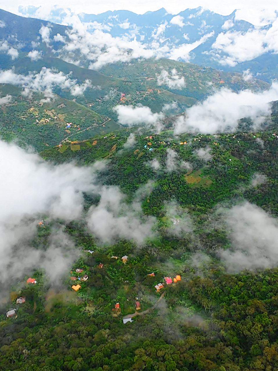surfeando en la nube YUNGAS...!! #bolivia #yungasbolivia🇧🇴 