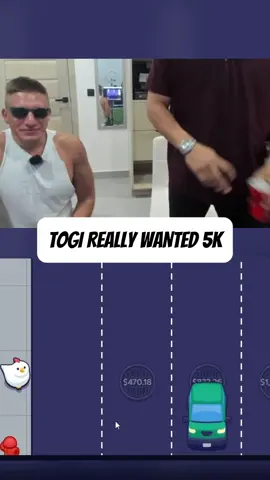 TOGI GOES CRAZY #viral #fyp #togi 