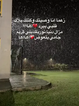 #اها #f #algerienne🇩🇿 #morocco #🇲🇦🇹🇳🇩🇿 