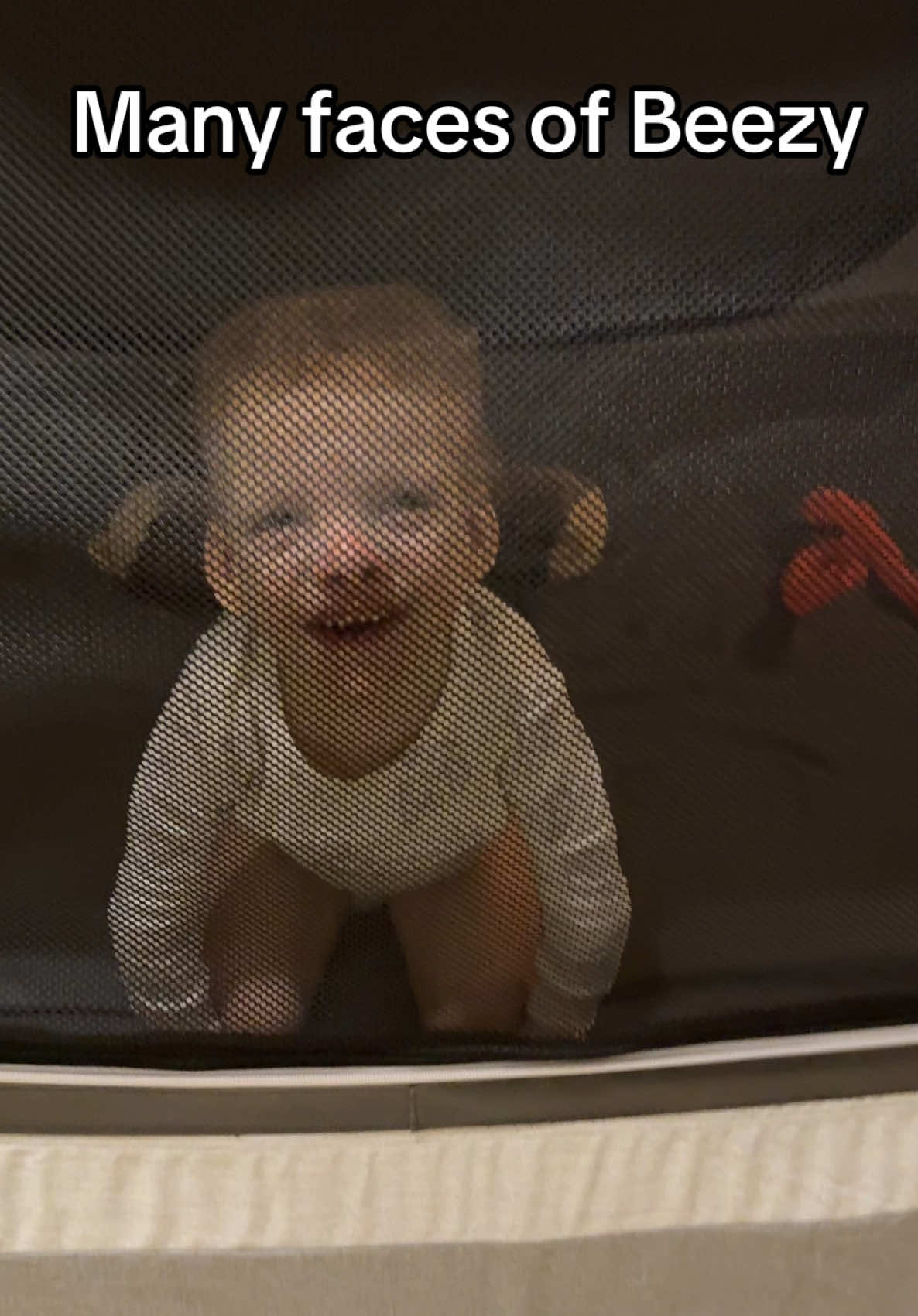 He loves his new bed. #criduchat #meetmathias #criduchatawareness #beezy #funnyfaces 