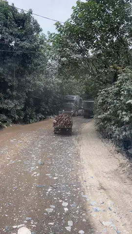 Nhanh cái chân lên nhỡ hết cả đà 🤣🤣🤣