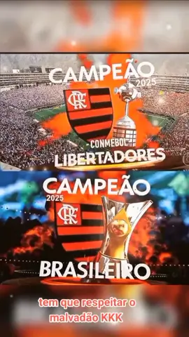 flamengo campeão da libertadores campeão brasileiro de 2025 tem que respeitar o malvadão 