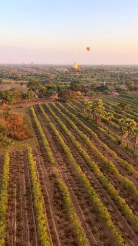 ဒီမြို့လေးကိုကိုယ့်ခေါ်လို့လာတာထက်မင်လွမ်းလို့ရောက်လာတာပဲဖြစ်ပါစေချစ်သောရေ #ThankyouOrientalBallooning #foryou  #bagan  #bagannature  #fypシ゚viral🖤