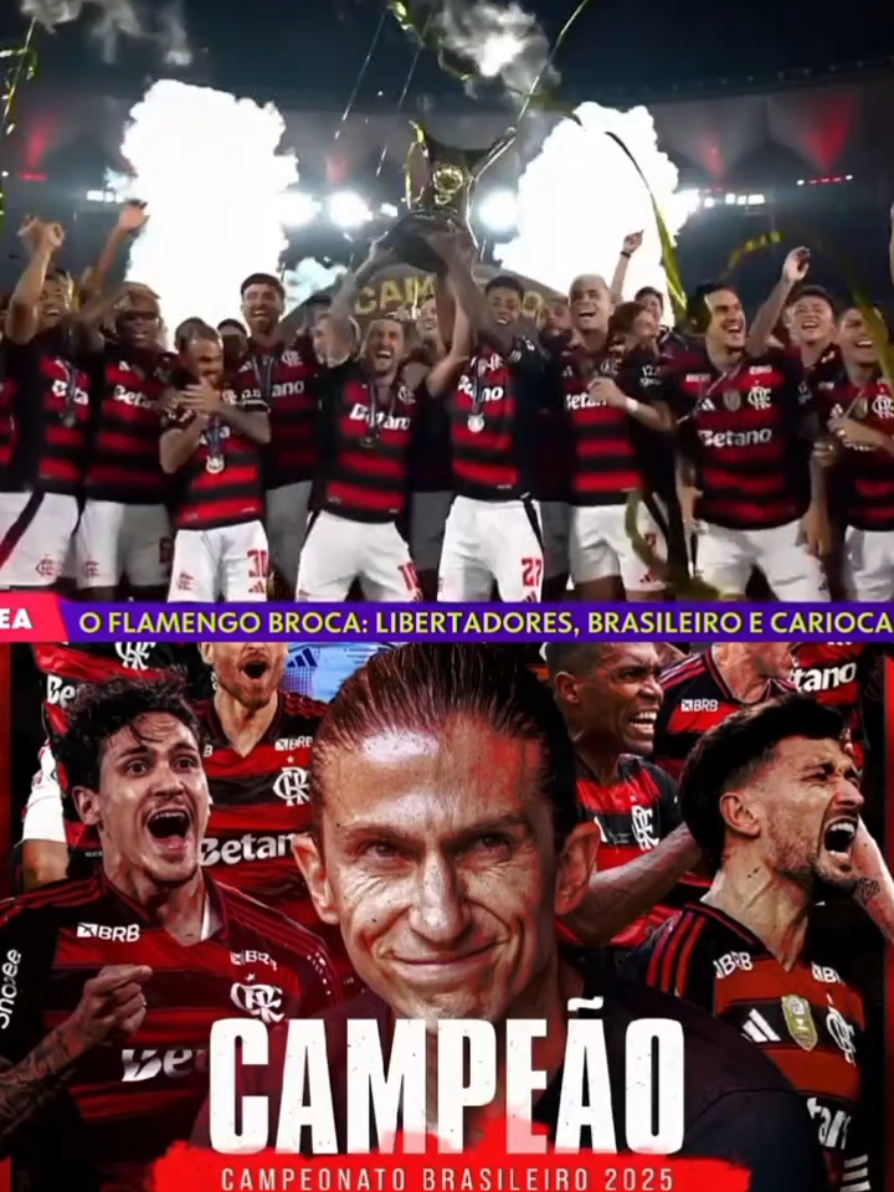 Flamengo levanta a taça de campeão do Brasileirão 2025!