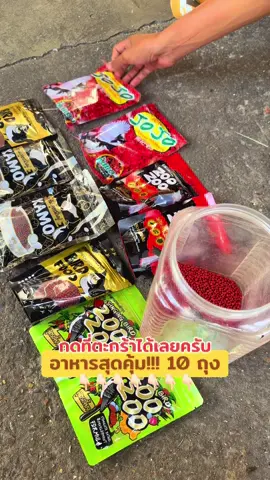 ใช้ดีจึงบอกต่อ🥰🥰 ##ค่ายนกกรงหัวจุกมหาชัย##บ้านเลิฟเบิร์ดมหาชัย##เลิฟเบิร์ดไม่ขอบตา##ฝากติดตามด้วยครับ##fyp