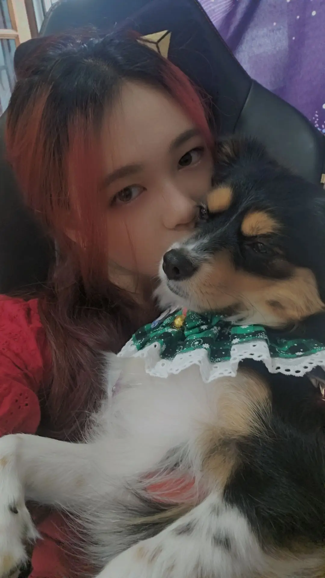 Brought Mocha to Christmas Wonderland cause ITS MEANT TO BE PET-FRIENDLY, but unfortunately, the people are not. We are visitors, we paid ticket to enter Christmas Wonderland, we are not paid to be some attraction for people to come take photo of us however they like or touching Mocha WITHOUT PERMISSION. Dont blame me for being rude, I am protecting our own space. Unless I am PAID to be an attraction for people to come take photo of us, or touch my girl.  Had a group of Indians walking pass us, their son ran up to us and decided to use his finger to poke Mocha's Butt and she had a shock. My quick reaction was to slap away his hand and his mother quickly called him over. 0 apology or remorse, she pulled her son to a table and started wiping his hands, AS IF MOCHA IS DIRTY. How can his filthy hands touch my dog, while they clean theirs infornt of me as if my dog is dirty.😭😭 And Tourist, dont even have BASIC MANNERS, to ask someone for a photo. I was bending over, feeding the dogs water to Hydrate, random AngMo decided to start taking photos of us. Its so creepy. Lasty, during the Blizzard Time, all the kids start gathering near our dogs, screaming, shouting, trying to throw the foam/bubbles on our dogs, while parents neglect controlling their children. Again, an Indian lady, coming up to my girl and started taking selfie with her. MY DOG ISNT PUBLIC PROPERTY.  I decided to go on a weekday, hoping it to be less chaotic, enjoying our moments together, without public harassments. Im still glad there are decent people out there to keep a distance, and respecting our personal space, asking before taking photos or touching Mocha. Not gonna lie, I love it when people are gentle and loving to my dog, instead of treating her like a public property.🙏