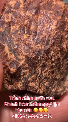 #trầmhương #trâmrừngtựnhiên #trầmhuongthiennhien 