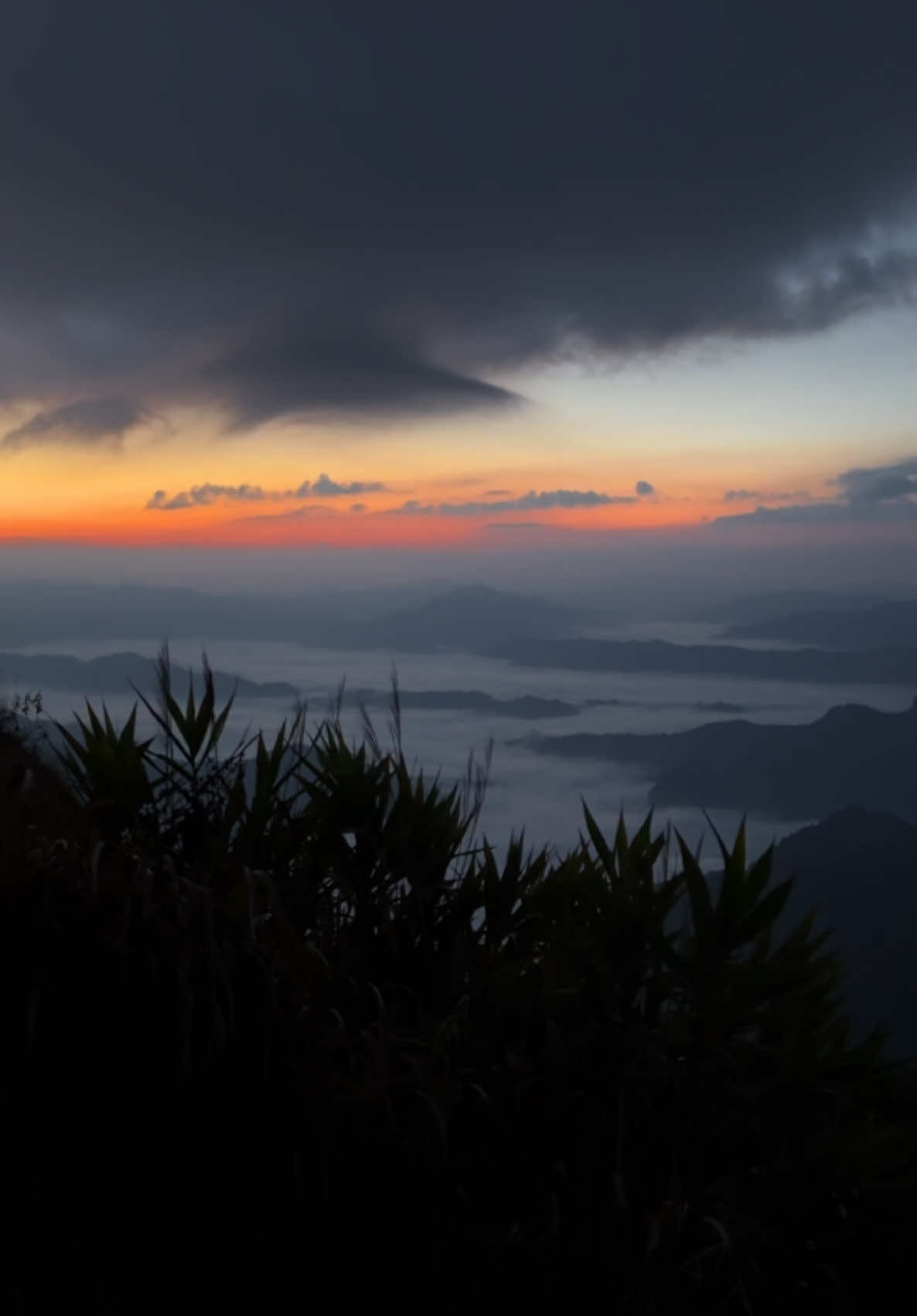 #khosiab #hmongtiktok #hmoobfyp #tiktokพาเที่ยว #ภูชี้ฟ้าเชียงราย 