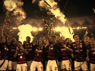 Flamengo campeão brasileiro 🥳🤩 #flamengo #brasileirao #fyp #viral 