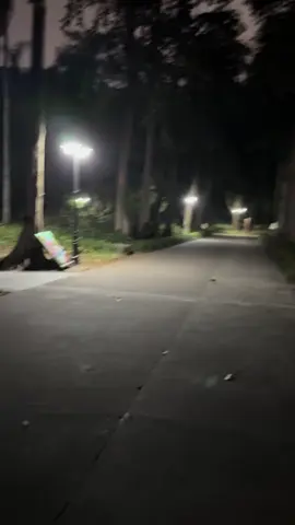 Ủa con gì mà chạy nhanh dữ vậy #petcute #khoanhkhacdangyeu 