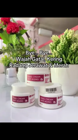 Snail Cream Anti Aging #drwskincareindonesia #drwskincareproduct #jerawatmeradang 