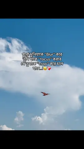 পুরো দুনিয়াকে 