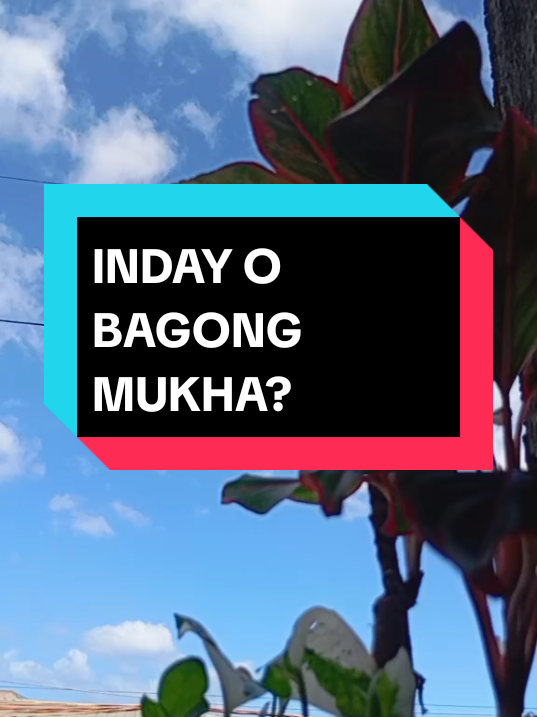 ##sara #saraduterte  #saraduterte2022🇵🇭👊 #vpsara#vpsaraduterte🦅🦅🦅👊👊👊💚💚💚 