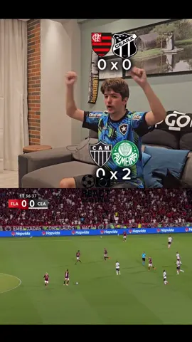 Reação do botafoguense com o Flamengo campeão 😂 #viral #flamengo #palmeiras #brasileirao #react 