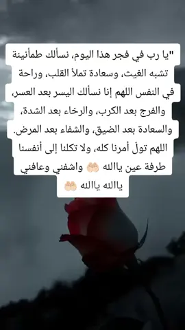 اللهم صل وسلم وبارك على سيدنا محمد وعلى اله وصحبه وسلم تسليما كثيرا #القران_الكريم_راحه_نفسية #اللهم_اغفرلي_ولوالدي_ #ربي_اغفرلي_وارحمني_برحمتك_التي_وسعت_كل_شي #اللهم_انك_عفو_تحب_العفو_فاعف_عنا #لا اله إلا الله محمد رسول لله 