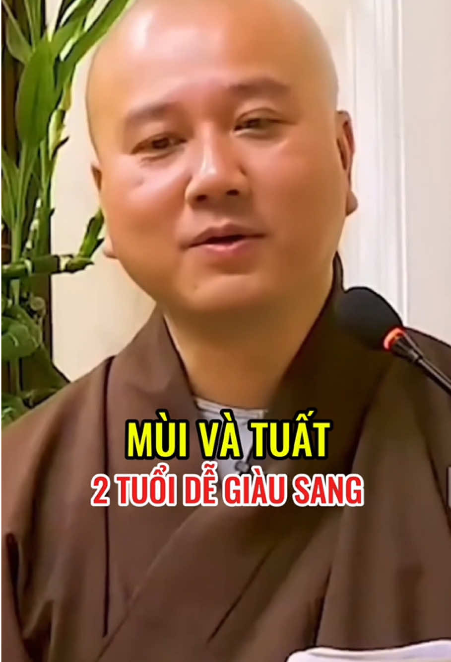 Mùi và Tuất là 2 tuổi dễ giàu sang #tuoimui #tuoituat #tuvi12congiap #thayphaphoa 