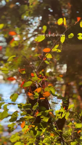 🖤🚶🏽 #ariesimpermanence #silence #ariessoulimpermanence #nohate #peaceandlove 