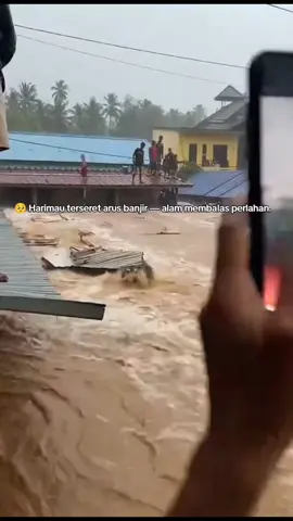 Kasian bgt, jangan kan Manusia, hewan pun banyak yang terkena dampak nya😭 #harimau #fyp #banjir #sumbar #viral 