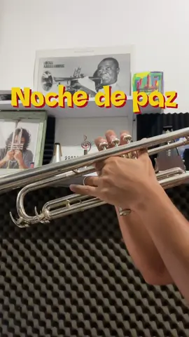 Noche de paz!  Canción para aprenderte en estas fechas 🎄🎅 #navideñas #christmas #trompeta 